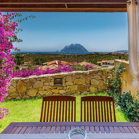 Villa Con Vista Porto San Paolo Porto San Paolo  Dış mekan fotoğraf