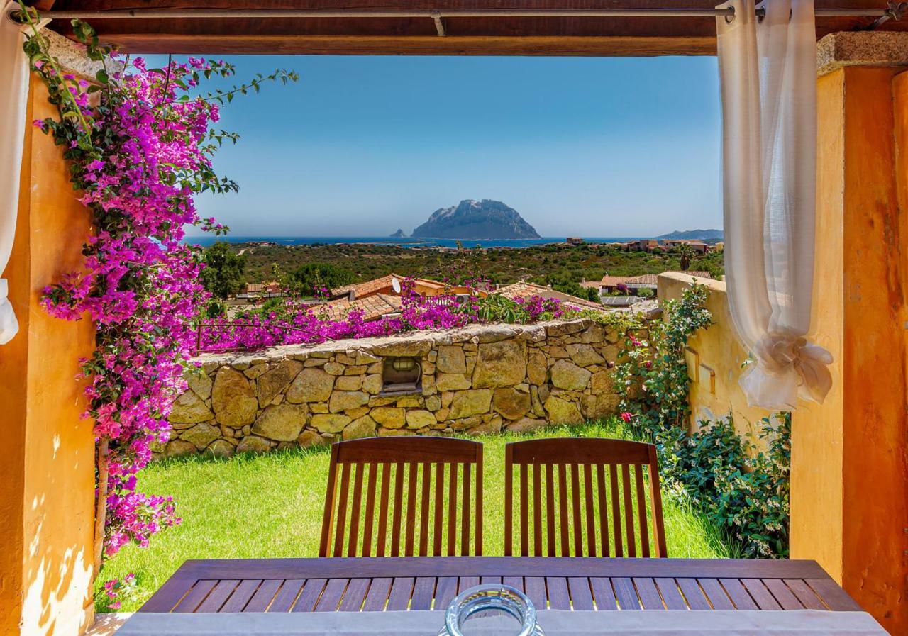 Villa Con Vista Porto San Paolo Porto San Paolo  Dış mekan fotoğraf