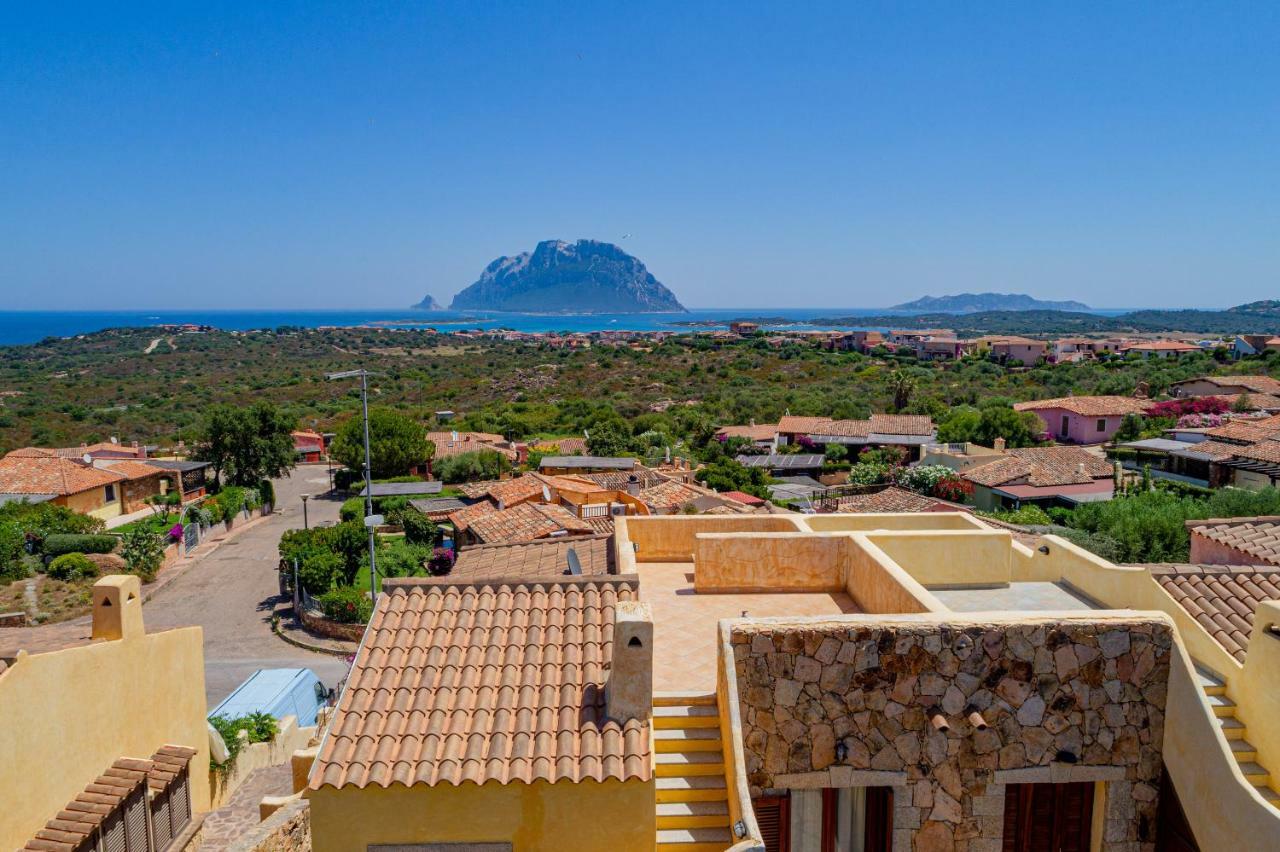 Villa Con Vista Porto San Paolo Porto San Paolo  Dış mekan fotoğraf